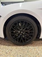 2019 FORD MUSTANG 2D FASTBACK GT 5.0 V8 FN MY20