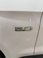 2019 FORD MUSTANG 2D FASTBACK GT 5.0 V8 FN MY20