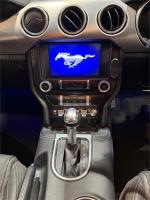 2019 FORD MUSTANG 2D FASTBACK GT 5.0 V8 FN MY20