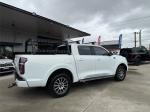 2022 GWM UTE DUAL CAB UTILITY CANNON (4x4)