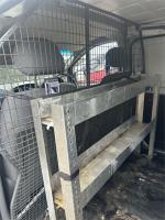 2019 HYUNDAI iLOAD 4D VAN 3S TWIN SWING TQ4 MY20