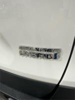 2020 TOYOTA RAV4 5D WAGON CRUISER (AWD) HYBRID AXAH54R